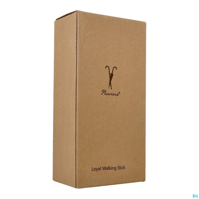 Pluviose canne loyal pliable noir