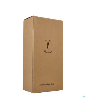 Pluviose canne loyal pliable noir