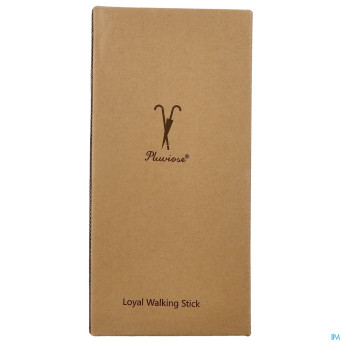 Pluviose canne loyal pliable noir