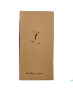 Pluviose canne loyal pliable noir