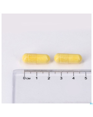 Magnevits v-caps 270 lepivits