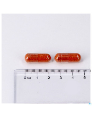 Maxivits pot caps 90 lepivits