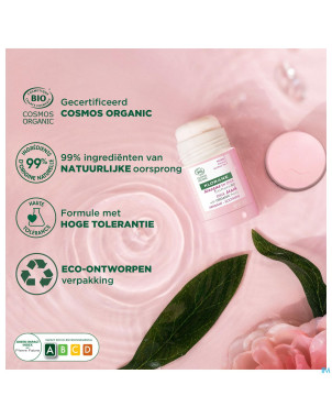 Klorane visage pivoine bio masque stick 25g