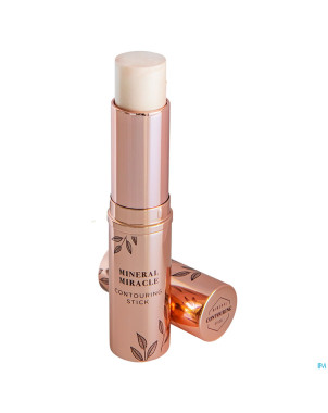 Cent pur cent highlight stick celebrate    8ml