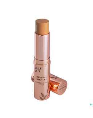 Cent pur cent contourstick allround soiree    8ml