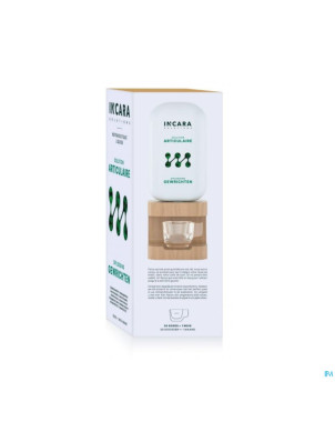 Incara solution articulaire    fl 250ml