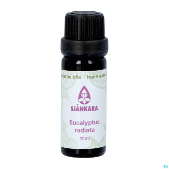 Sjankara eucalytus radiata huile ess. bio 11ml