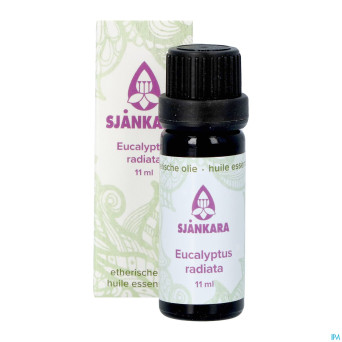 Sjankara eucalytus radiata huile ess. bio 11ml