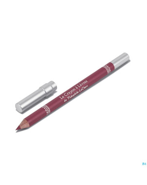 Tlc crayon levres 06 divin 1,08g
