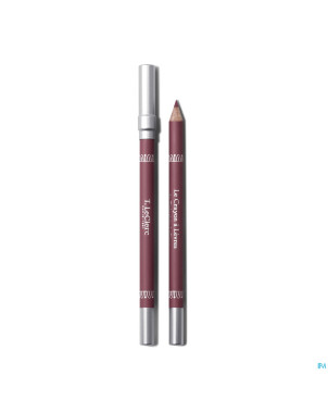 Tlc crayon levres 06 divin 1,08g