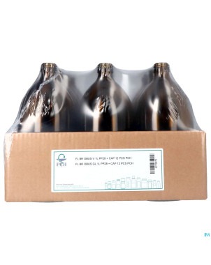 Fl br obus v 1l pp28 + cap 12 pch