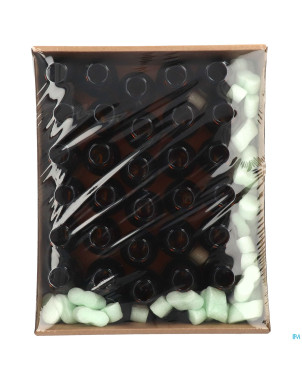 Fl br obus v 100ml pp28 + cap 30 pch