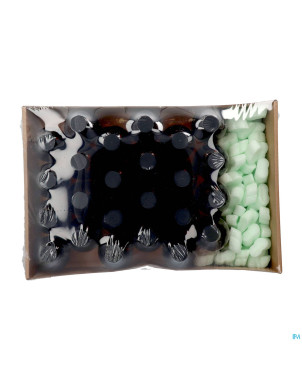 Fl br obus v 300ml pp28 + cap 24 pch