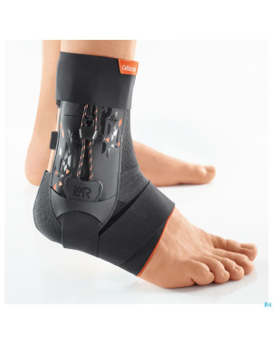 Cellacare malleo control expert t1