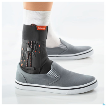 Cellacare malleo control expert t1