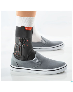 Cellacare malleo control expert t1