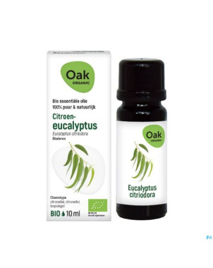 Oak hle ess eucalyptus citronne 10ml bio