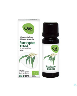 Oak hle ess eucalyptus globulus 10ml bio