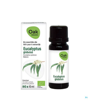 Oak hle ess eucalyptus globulus 10ml bio