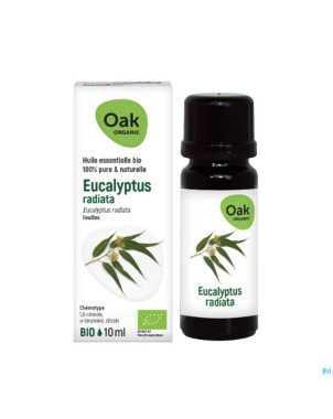 Oak hle ess eucalyptus radiata 10ml bio