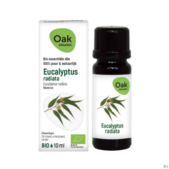Oak hle ess eucalyptus radiata 10ml bio