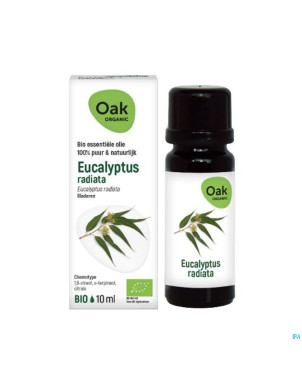 Oak hle ess eucalyptus radiata 10ml bio