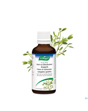 A.vogel viscum album   gouttes 50ml