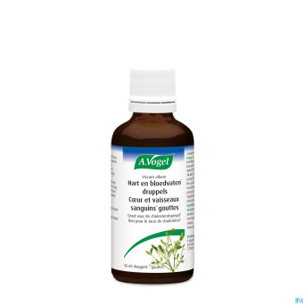 A.vogel viscum album   gouttes 50ml