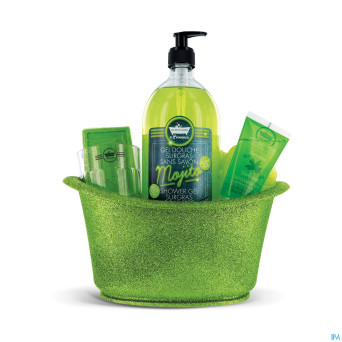 Lpbp kit paillettes vert 5 prod.