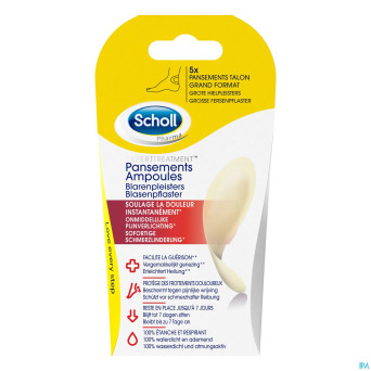 Scholl pans ampoule talon grand format s/latex  5