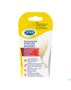 Scholl pans ampoule talon grand format s/latex  5