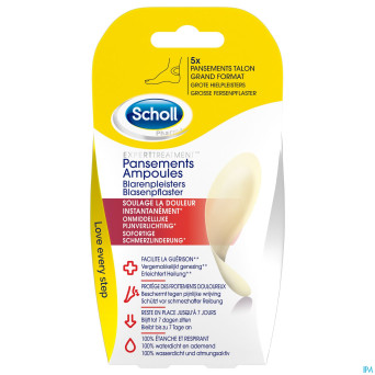 Scholl pans ampoule talon grand format s/latex  5
