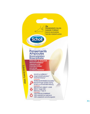Scholl pans ampoule talon grand format s/latex  5
