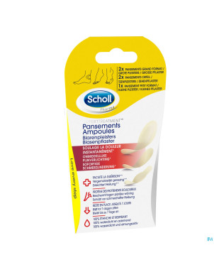 Scholl pans ampoule 2grand+2orteil+1petit s/latex