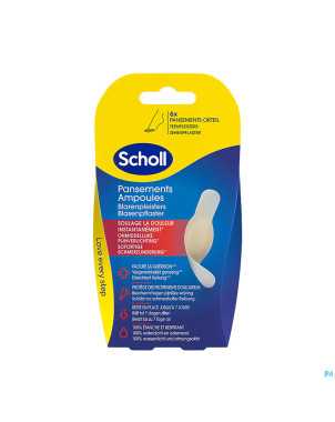 Scholl pans ampoule pansement orteil s/latex  6