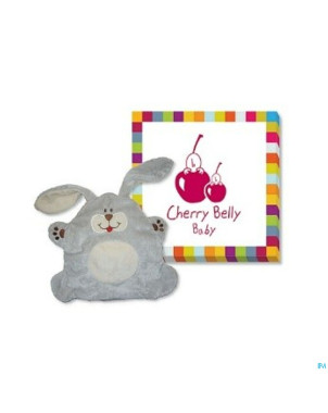 Kersepitje cous.chauf.lin graine ch.b.bblap.+therm