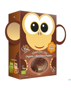 Rosies choco pops bio    300g 3362 revogan
