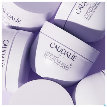 Caudalie vinotherapist beurre corps vegan    250g