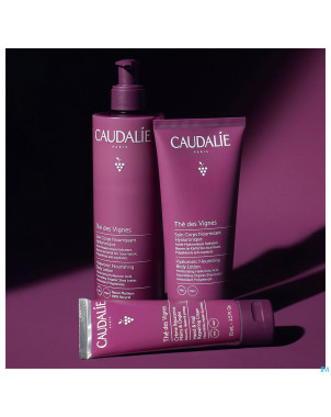 Caudalie corps soin nourrissant the vignes   400ml