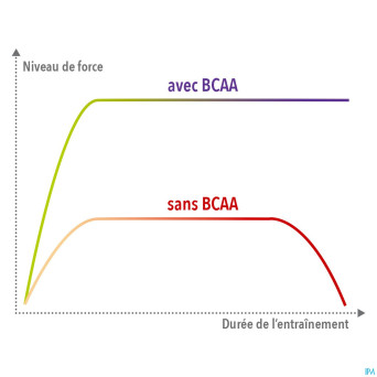 Stc nutrition bcaa 4/1/1    310g