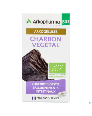 Arkogelules charbon vegetal bio    caps 45