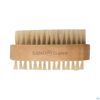 Sanodiane 43 brosse ongles
