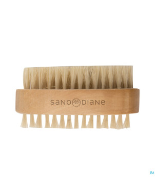 Sanodiane 43 brosse ongles