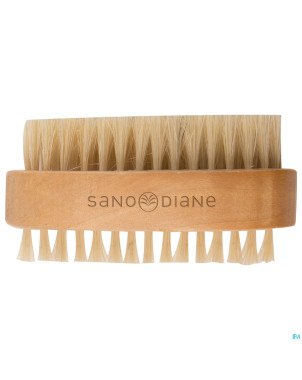 Sanodiane 43 brosse ongles