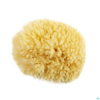 Sanodiane 65 eponge naturelle