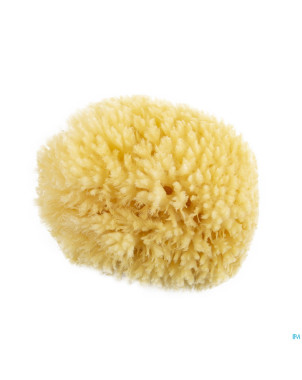 Sanodiane 65 eponge naturelle