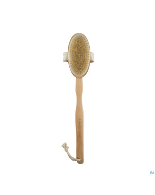 Sanodiane 76 brosse bain