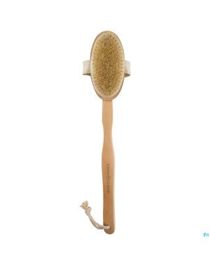Sanodiane 76 brosse bain