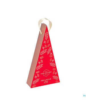 Cent pur cent triangle of tools