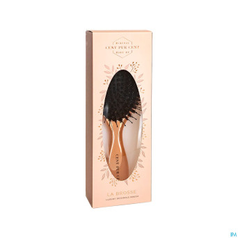 Cent pur cent brosse cheveux luxe